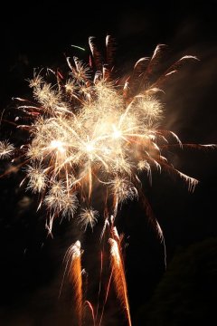 t_IMG_5438.jpg